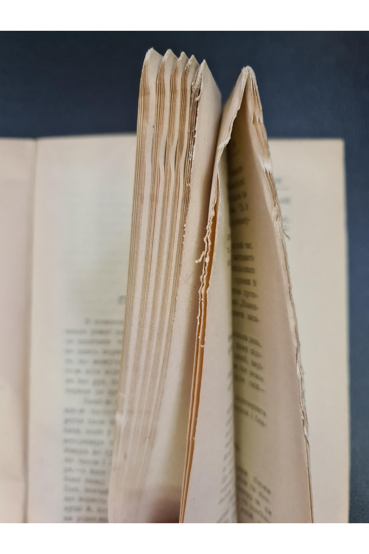 1919 р. Скотолічебник Ветеринарні поради В. Королів