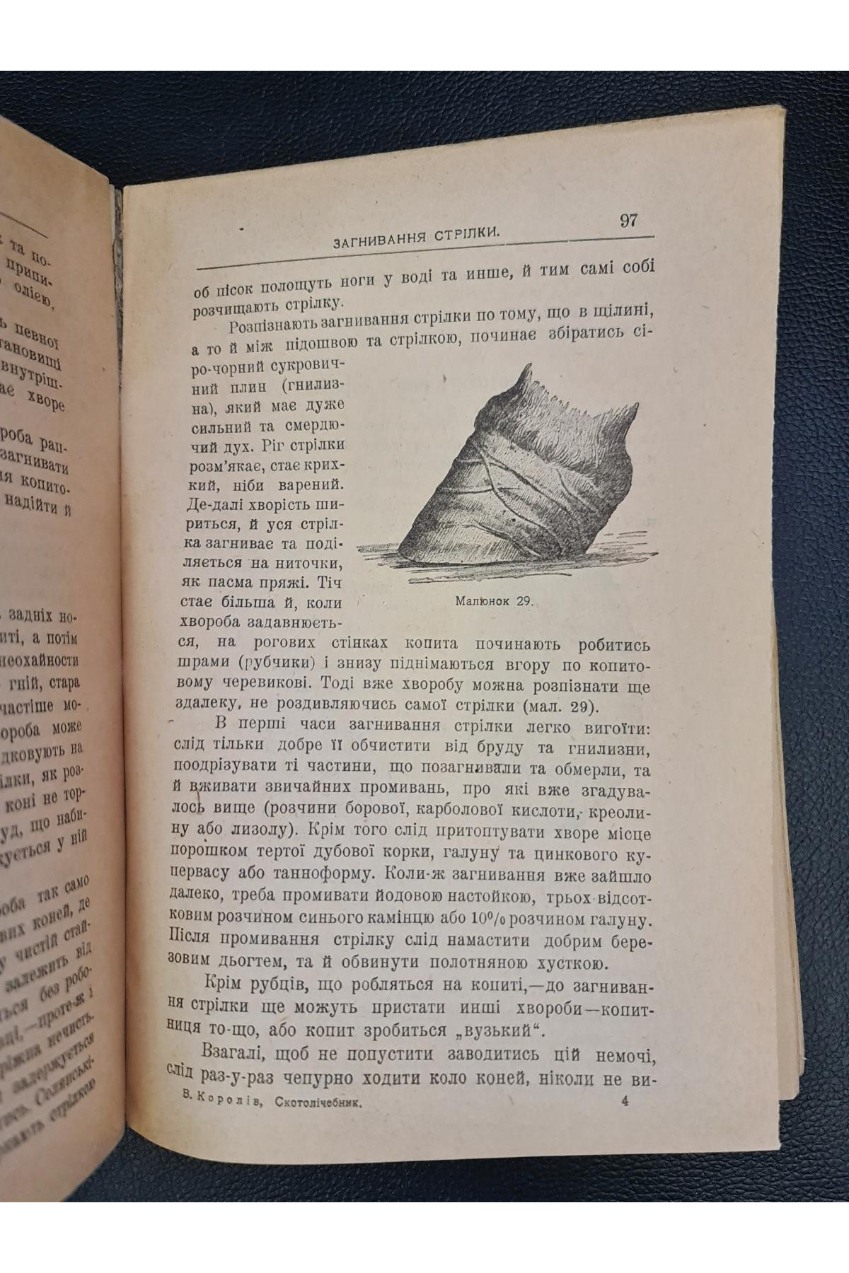 1919 р. Скотолічебник Ветеринарні поради В. Королів