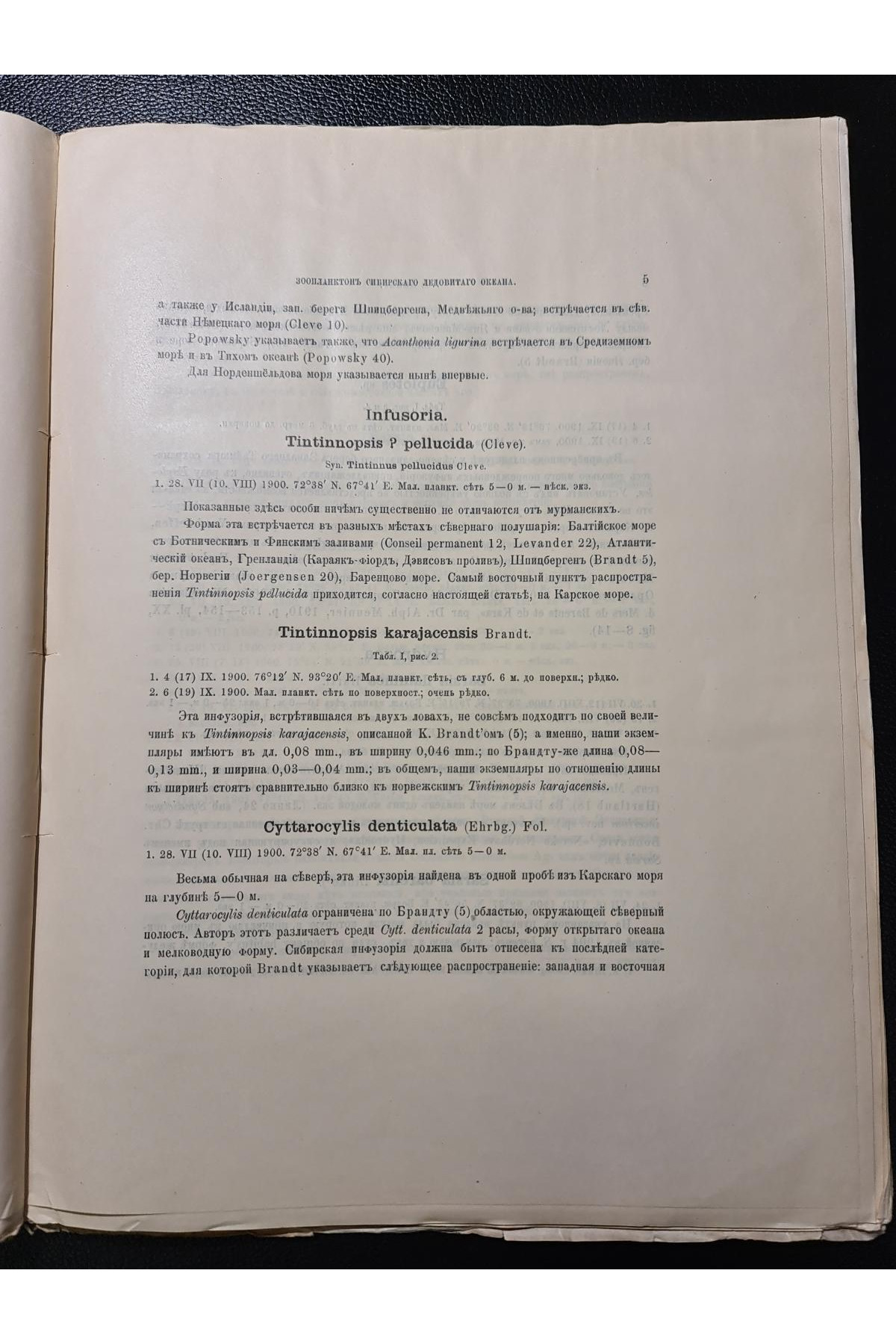 1913 р. Зоопланктон Сибирского Ледовитого океана по сборам Русской полярной экспедиции 1900–1903 рр
