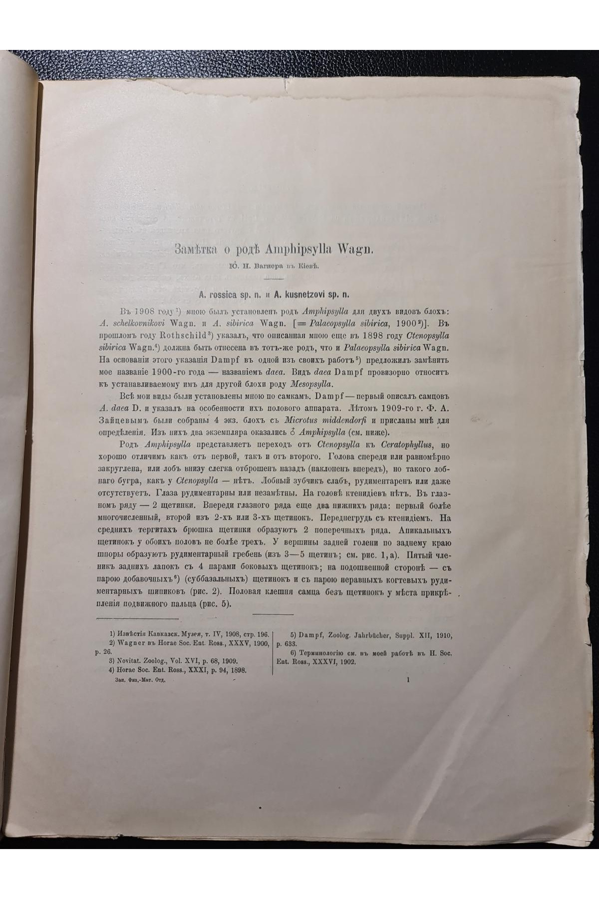 1914 р. Замѣтка о родѣ Amphipsylla Wagn