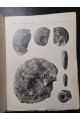 1914 р. Юрские и нижнемеловые серналоподы Северной Сибири