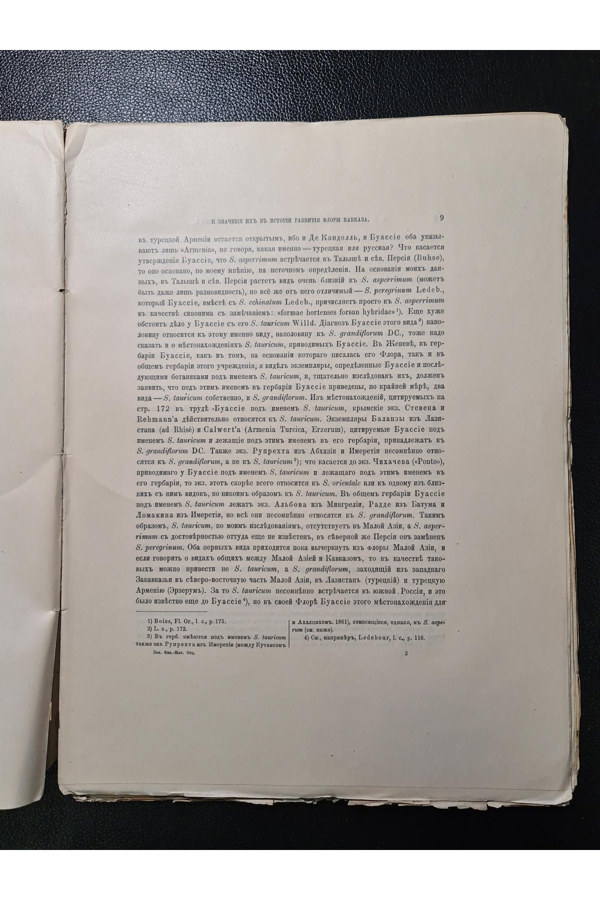 1910 р. Кавказские виды рода и значения их в истории развития флоры Кавказа