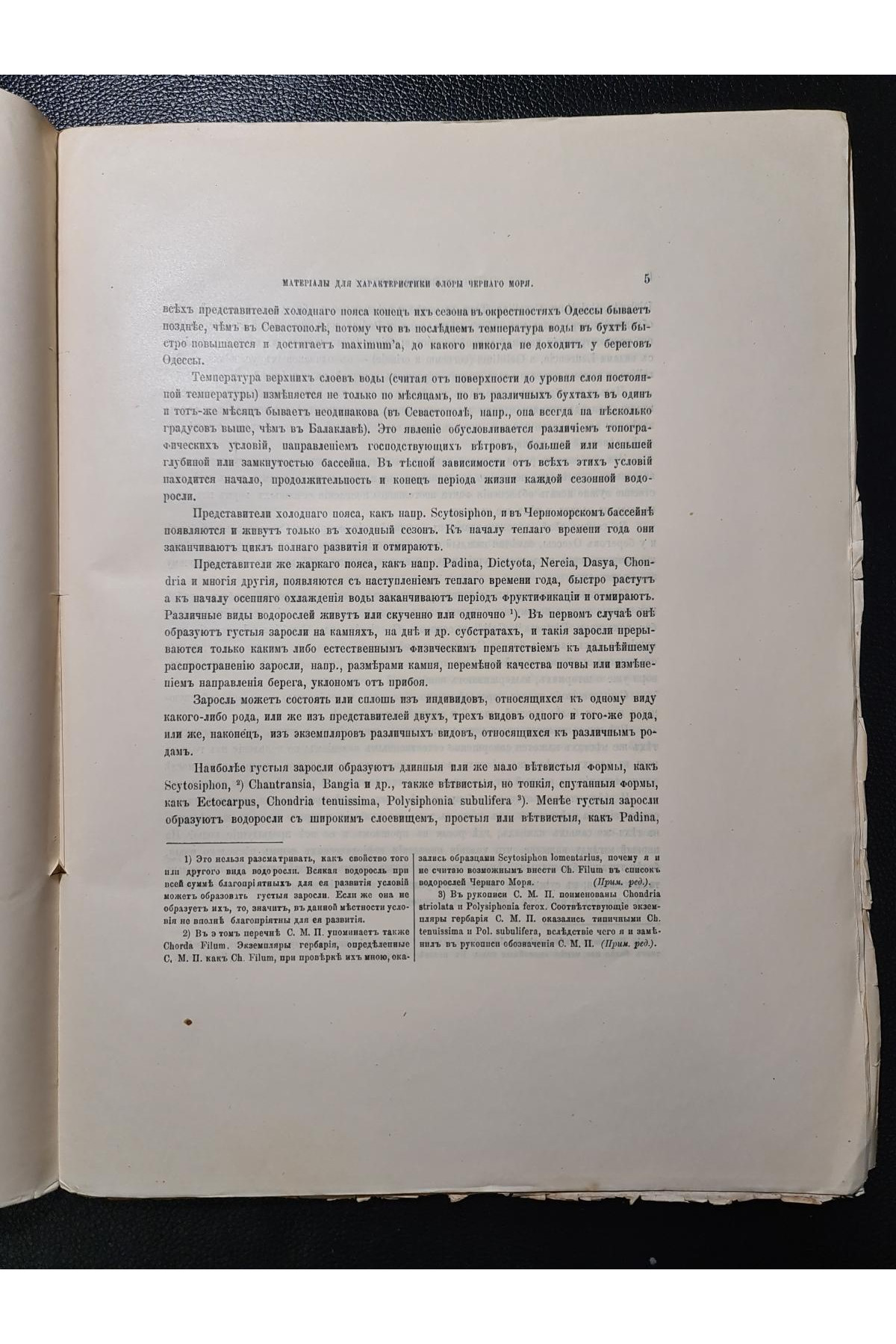 1910 р. Материалы для характеристики флоры Черного моря