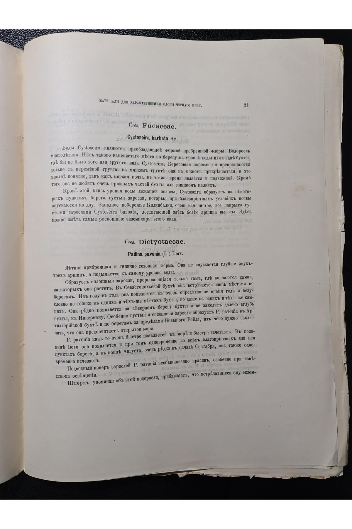 1910 р. Материалы для характеристики флоры Черного моря