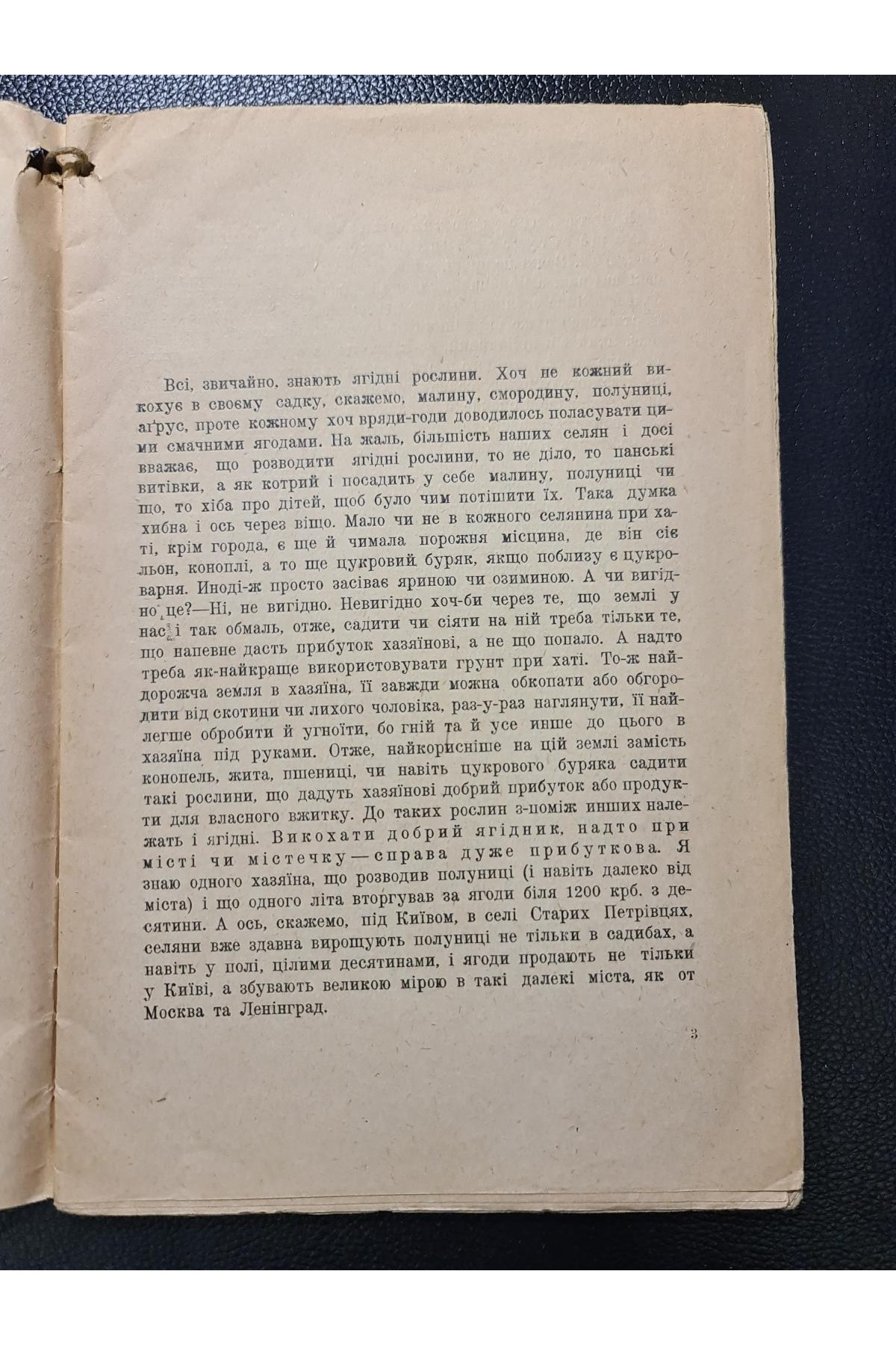 1926 р. Ягідник селянина книгоспілка В. Серебряков 