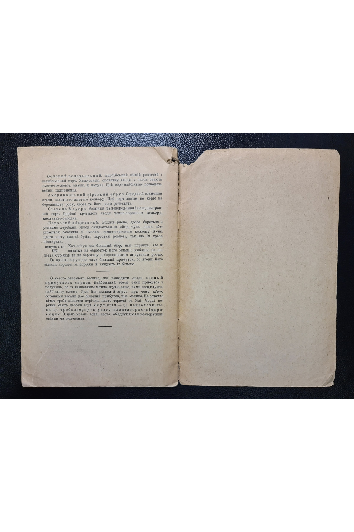 1926 р. Ягідник селянина книгоспілка В. Серебряков 
