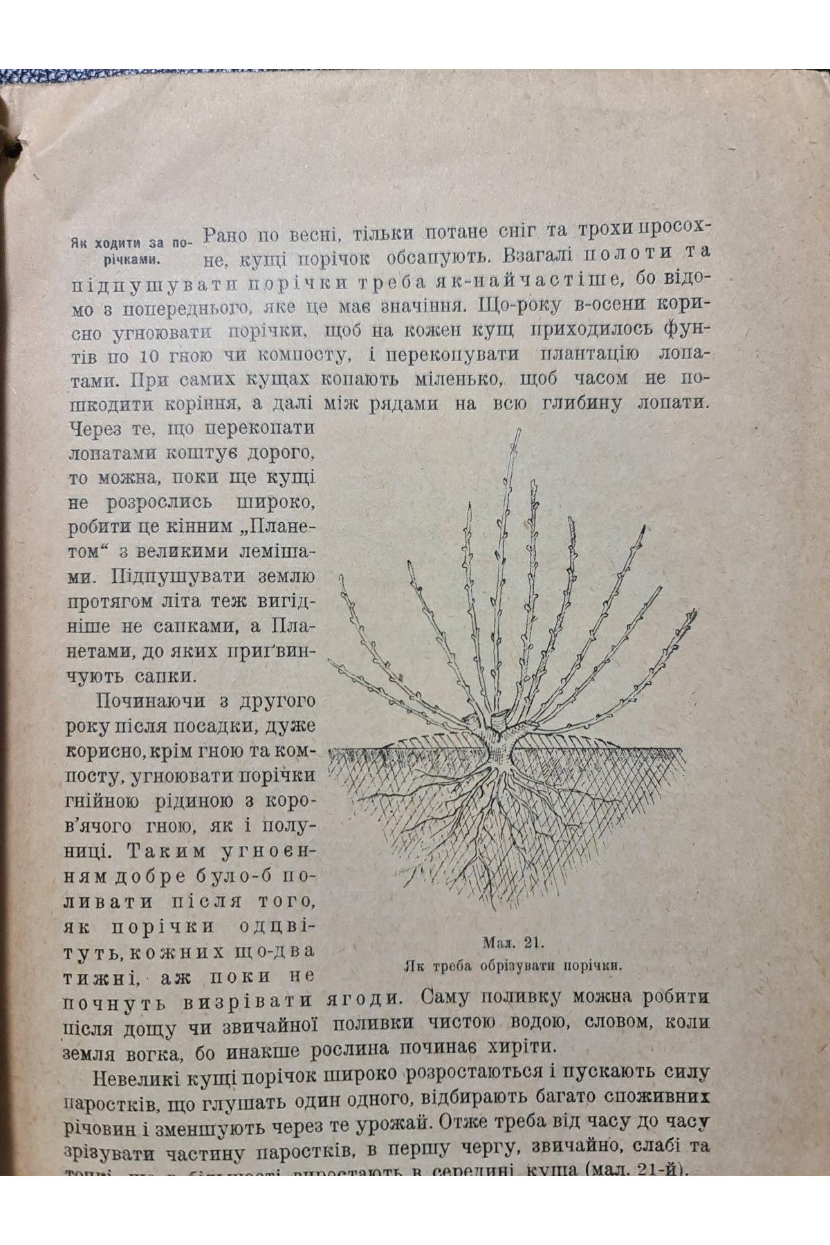 1926 р. Ягідник селянина книгоспілка В. Серебряков 