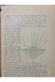 1926 р. Ягідник селянина книгоспілка В. Серебряков 