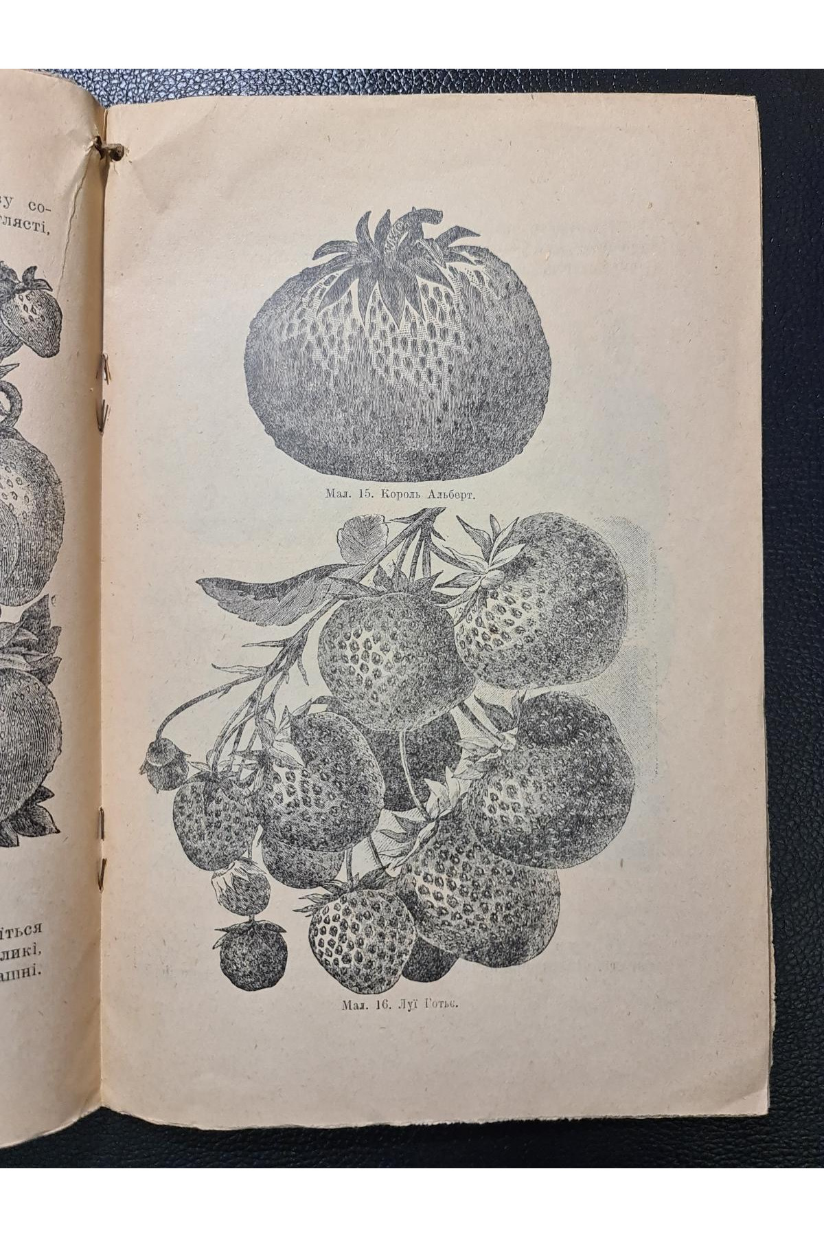 1926 р. Ягідник селянина книгоспілка В. Серебряков 