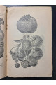 1926 р. Ягідник селянина книгоспілка В. Серебряков 