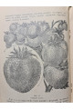 1926 р. Ягідник селянина книгоспілка В. Серебряков 