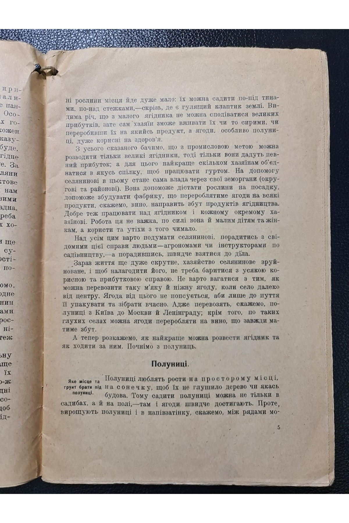 1926 р. Ягідник селянина книгоспілка В. Серебряков 