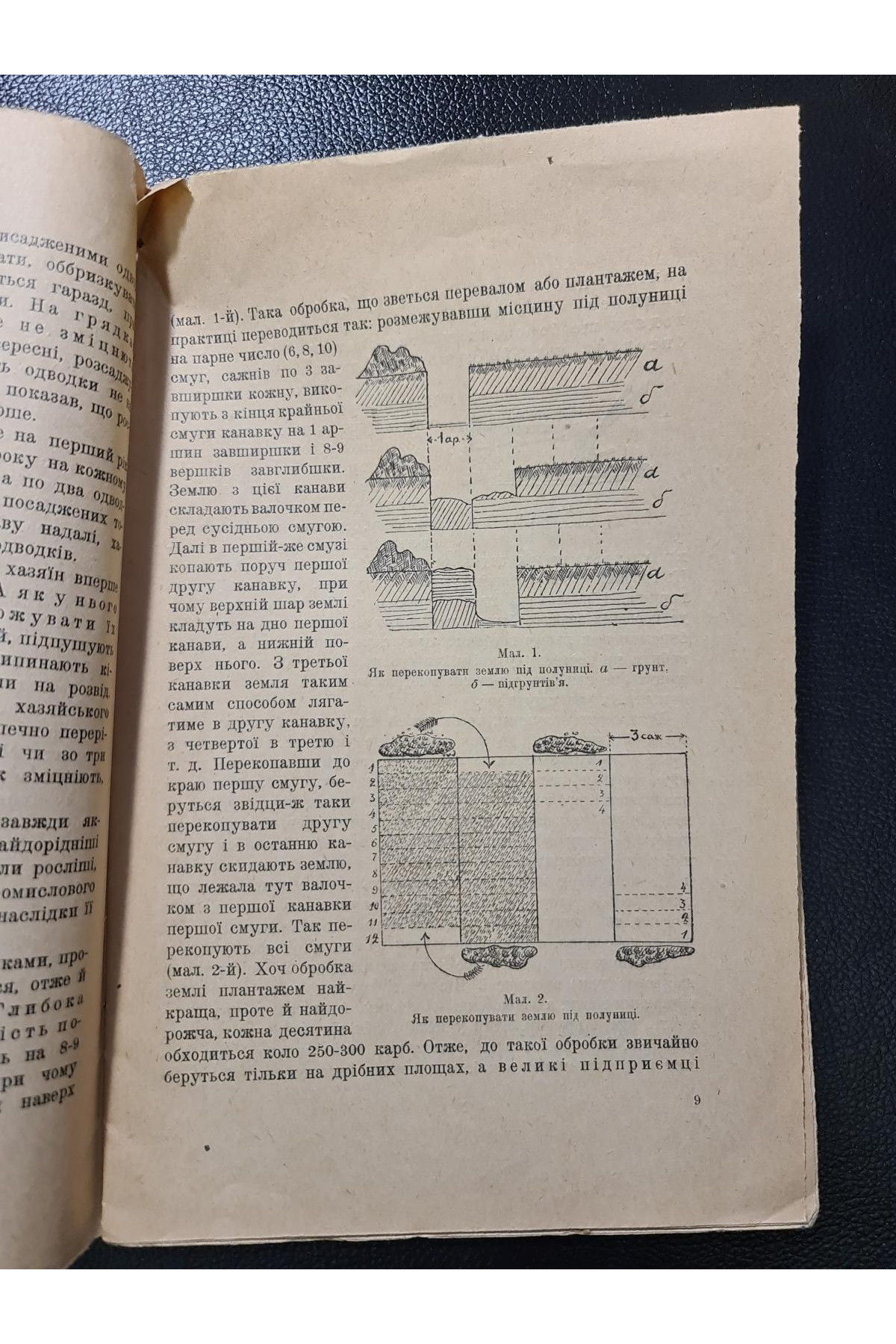 1926 р. Ягідник селянина книгоспілка В. Серебряков 