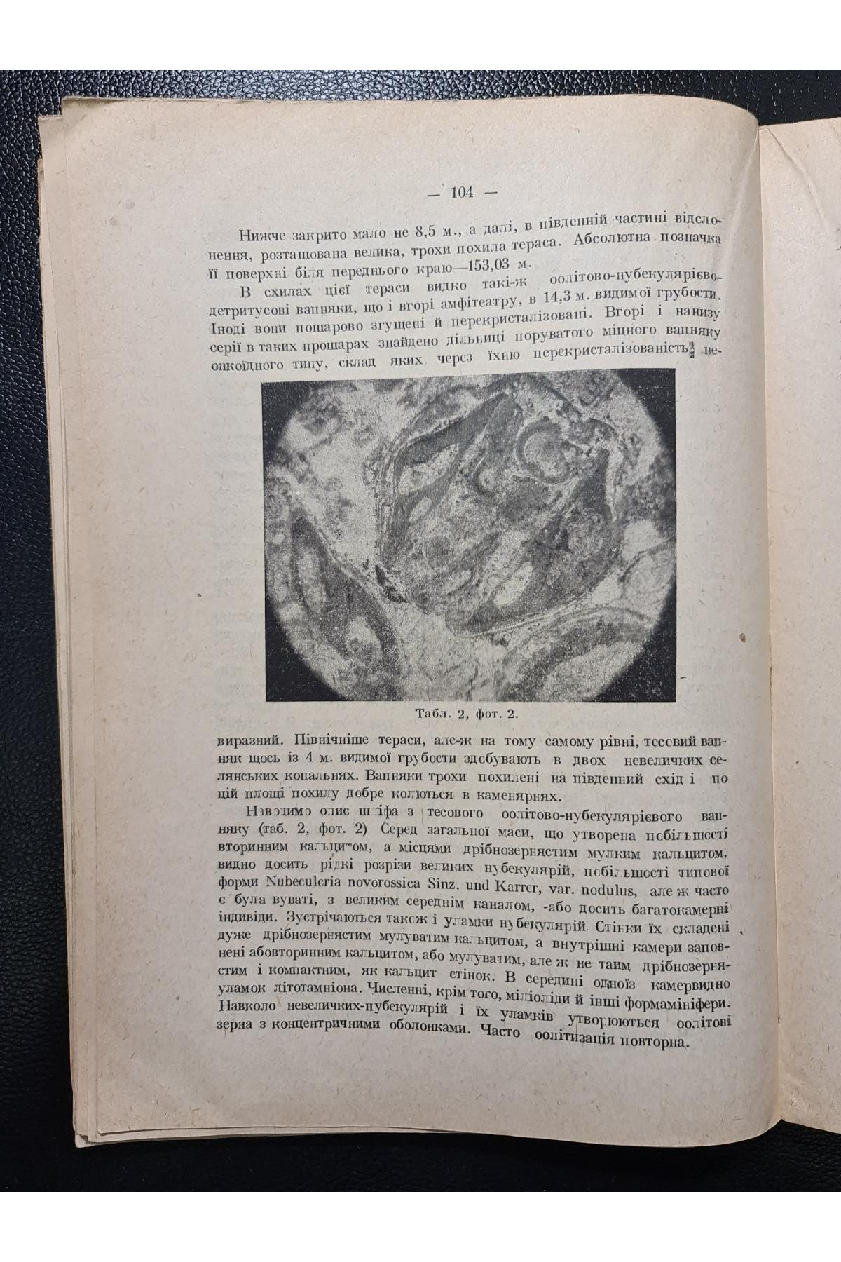 1931 р. Вапняки Тульчинщини