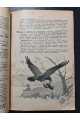 1915 р. Каталог книг для детей. Детская книга и детское чтения