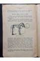 1929 р. Між життям і смертю