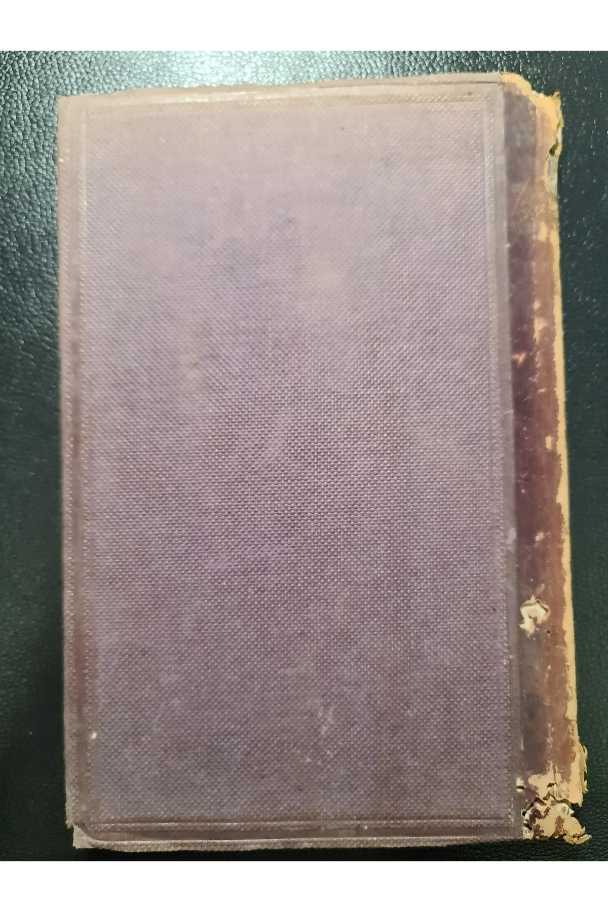 1870 г. По южному склону Западного Кавказа. Из путевых заметок