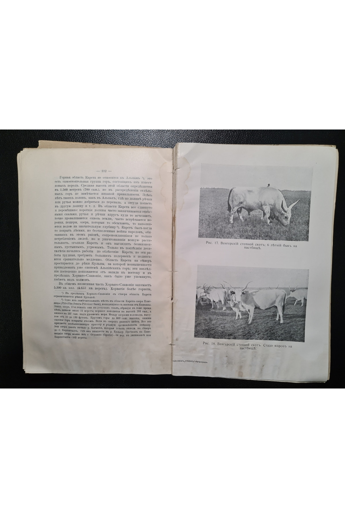 1914 г. Славянские земли. Том I. Юго-Западный район