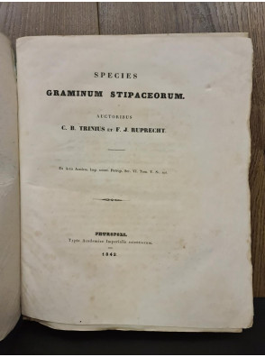 1842 г. Ботаническй труд, описывающего различные виды растений семейства злаков