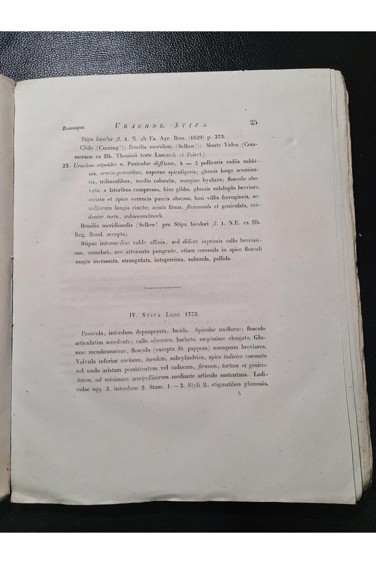 1842 г. Ботаническй труд, описывающего различные виды растений семейства злаков