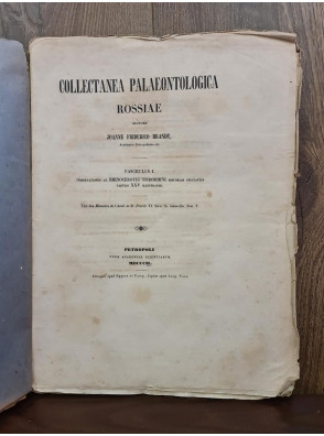 1849 г. Собрание палеонтологических материалов. Наблюдения, касающиеся истории шерстистого носорога
