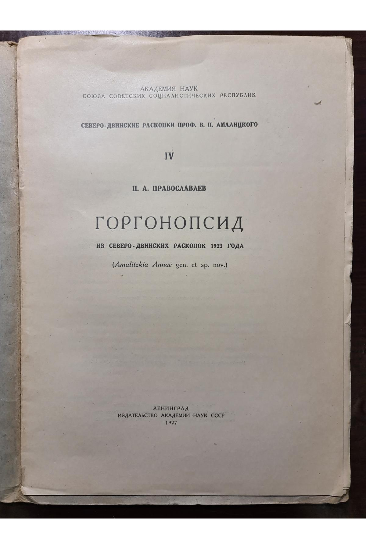 1927 г. Горгонопсид из Северо-Двинских раскопок 1923 года