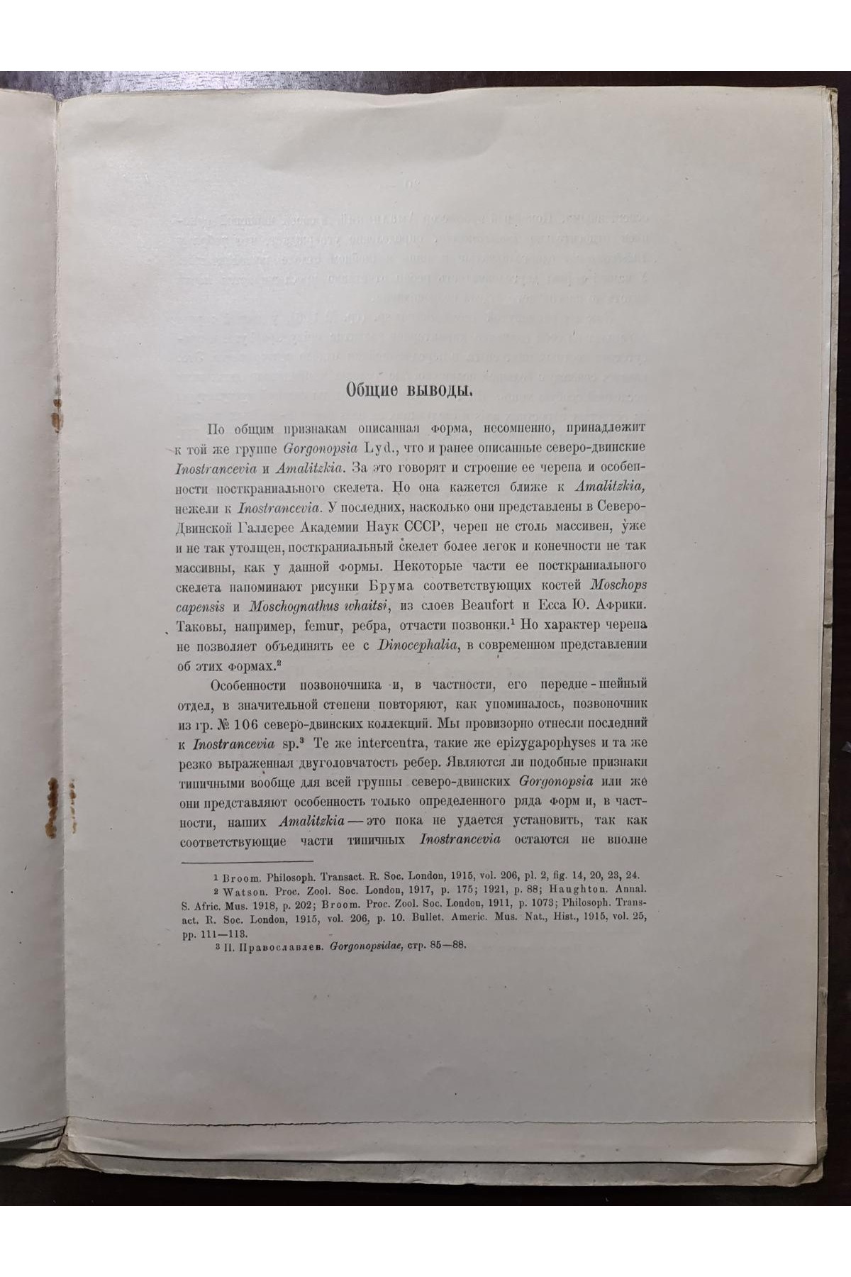 1927 г. Горгонопсид из Северо-Двинских раскопок 1923 года