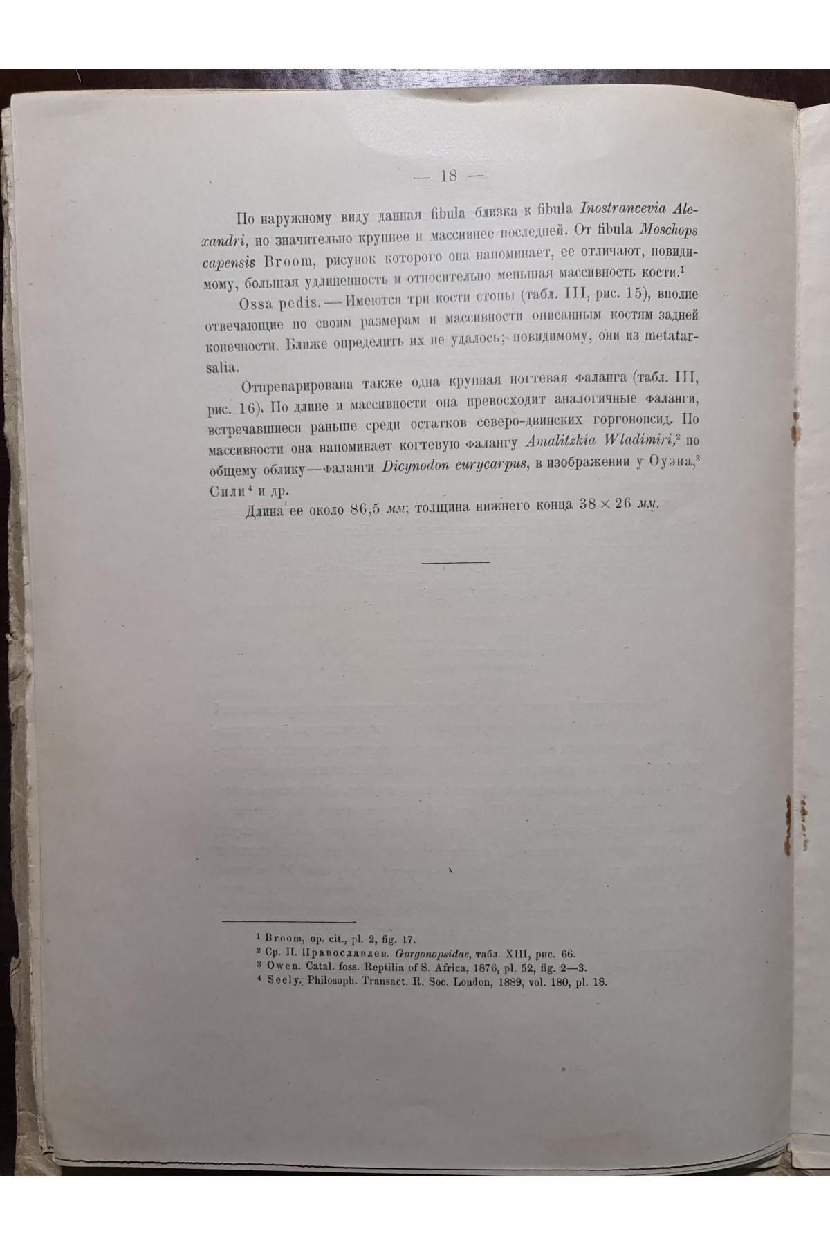 1927 г. Горгонопсид из Северо-Двинских раскопок 1923 года