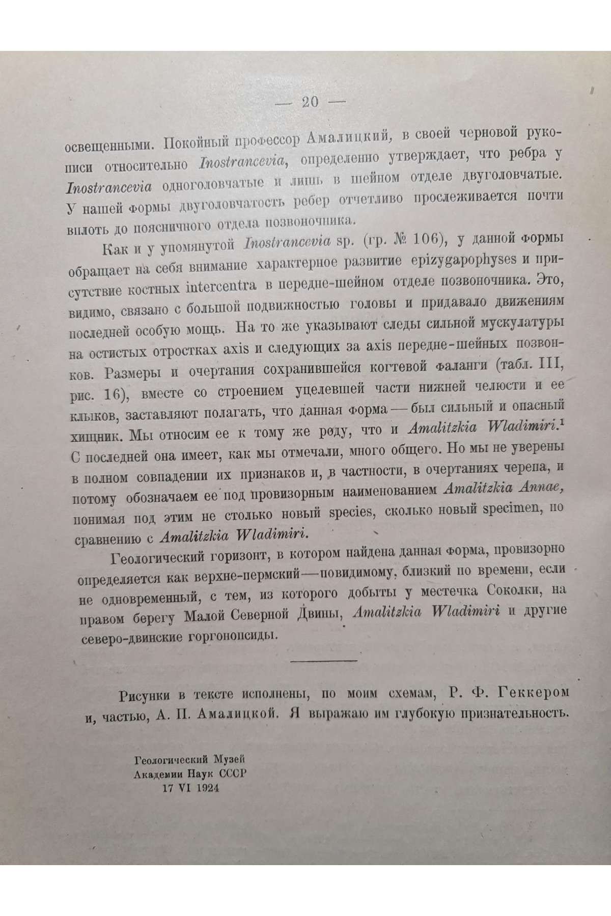 1927 г. Горгонопсид из Северо-Двинских раскопок 1923 года