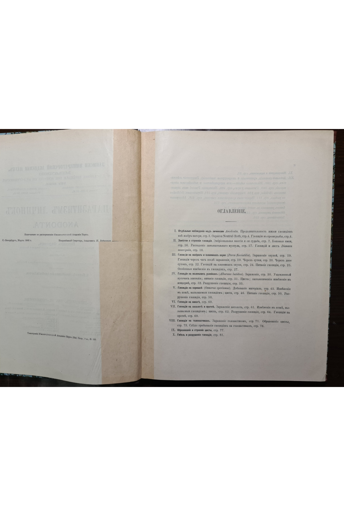 1903 р. Паразитизм личинок Anodonta