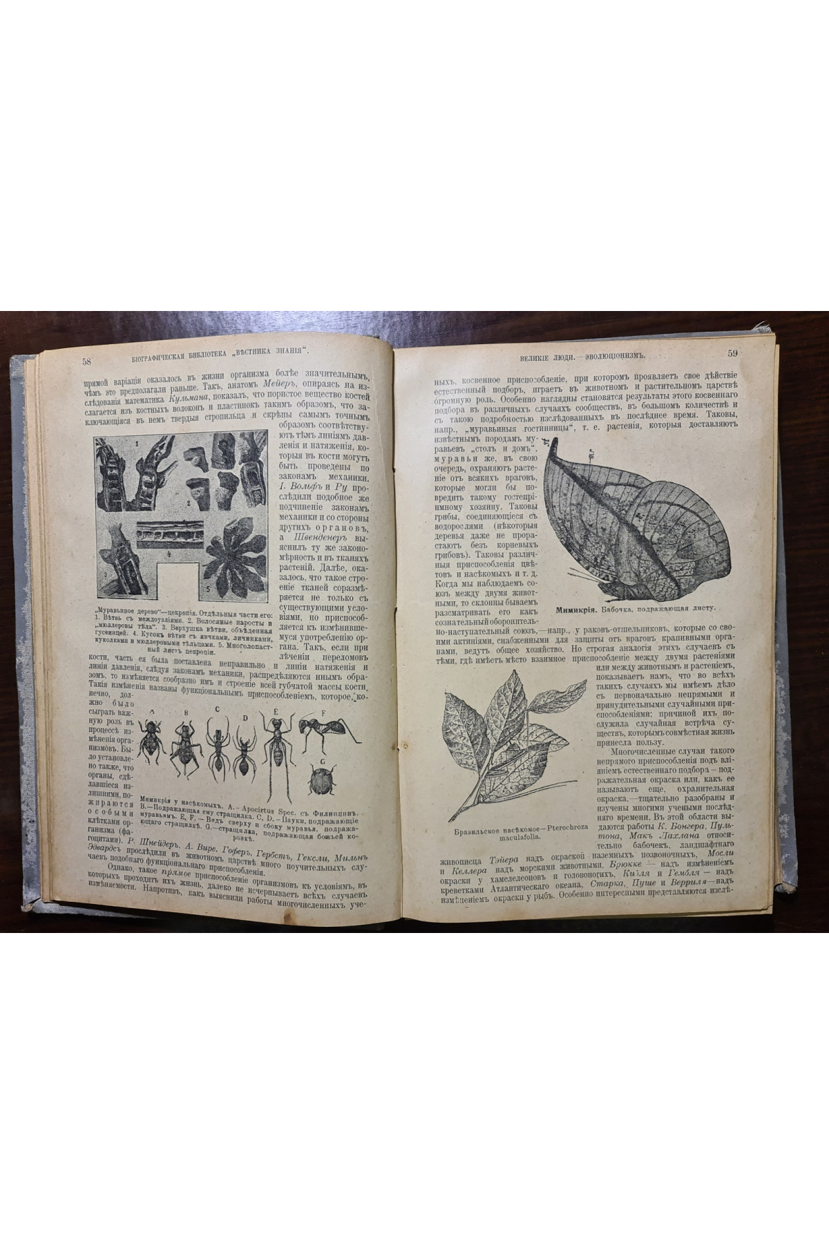 1914 г. Великие люди. Великие экономисты. Утописты. том 1