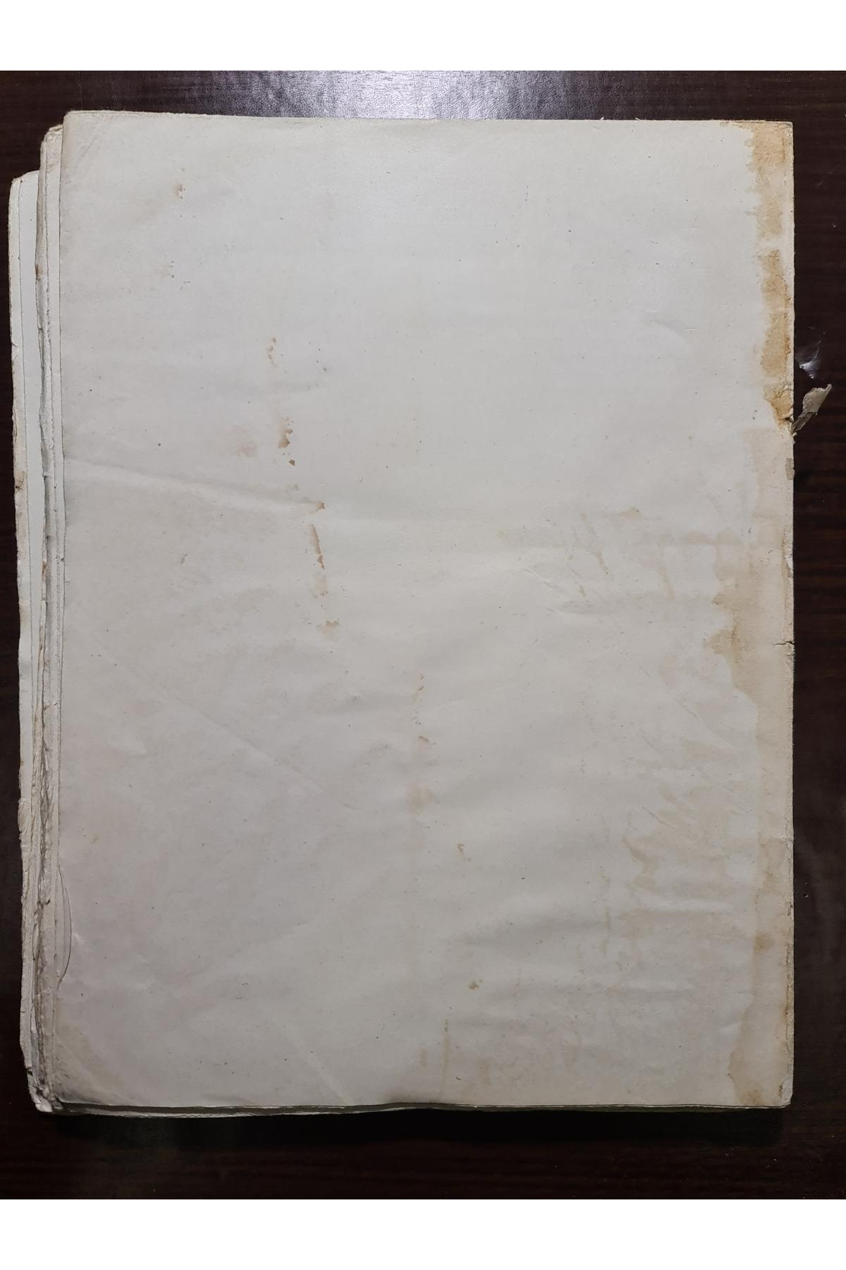 1913 р. Колосья. Родная быль