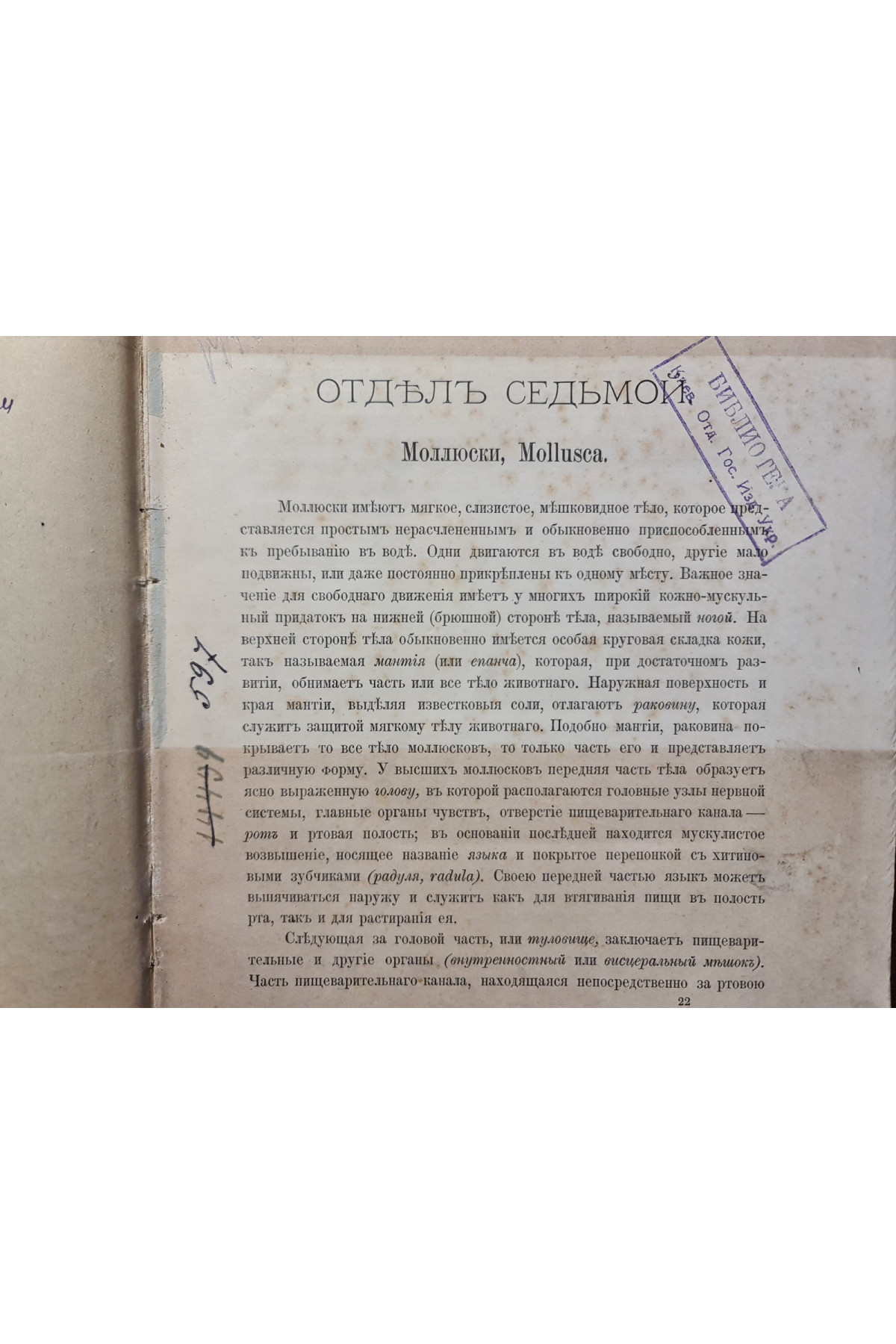 1897 р. Краткий курс палеонтологии Моллюски Лагузин