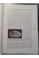 1897 р. Краткий курс палеонтологии Моллюски Лагузин