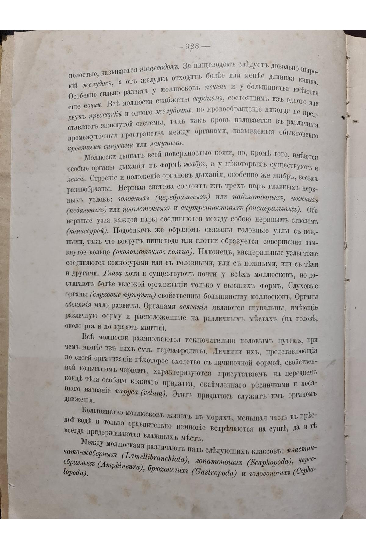 1897 р. Краткий курс палеонтологии Моллюски Лагузин
