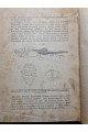 1897 р. Краткий курс палеонтологии Моллюски Лагузин