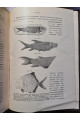 1897 р. Краткий курс палеонтологии Моллюски Лагузин
