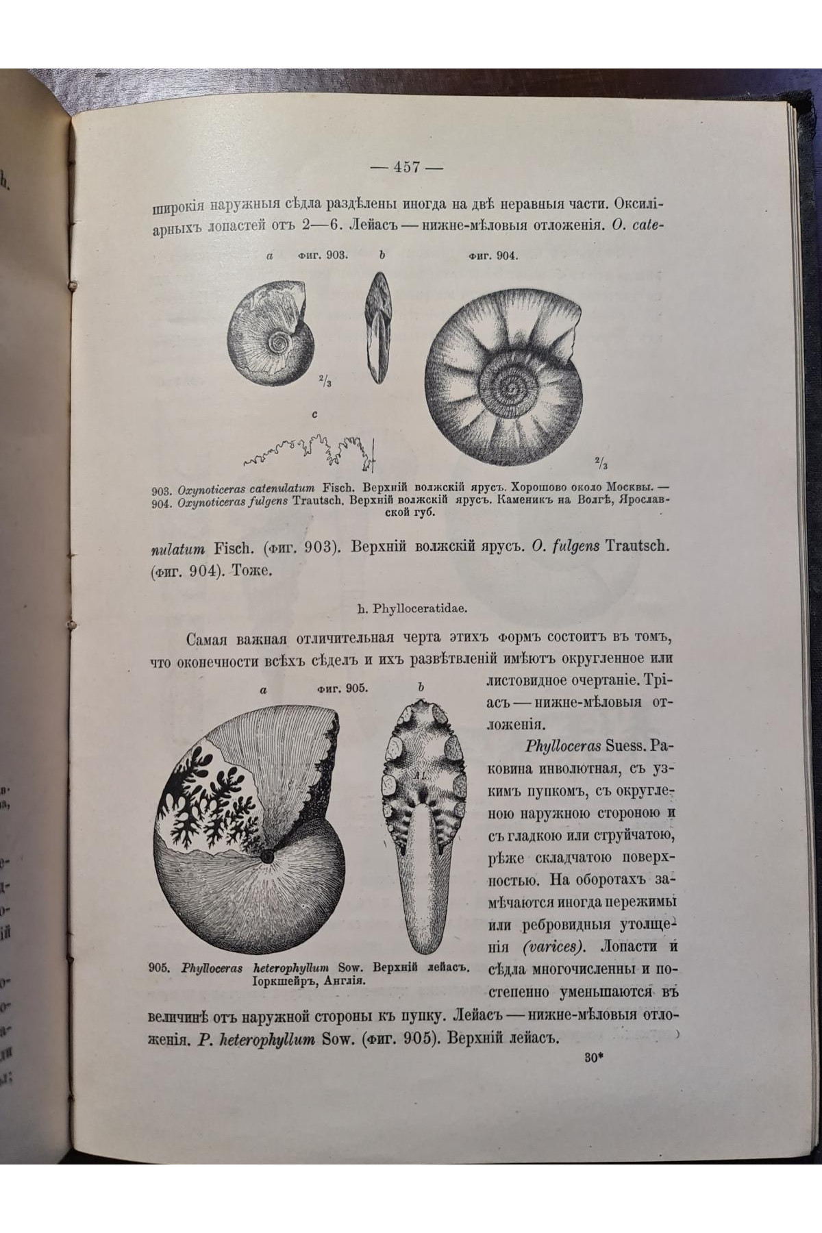 1897 р. Краткий курс палеонтологии Моллюски Лагузин