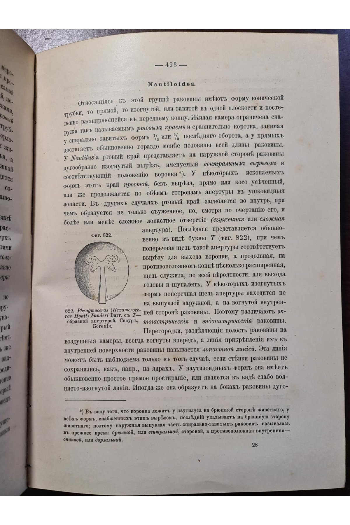 1897 р. Краткий курс палеонтологии Моллюски Лагузин