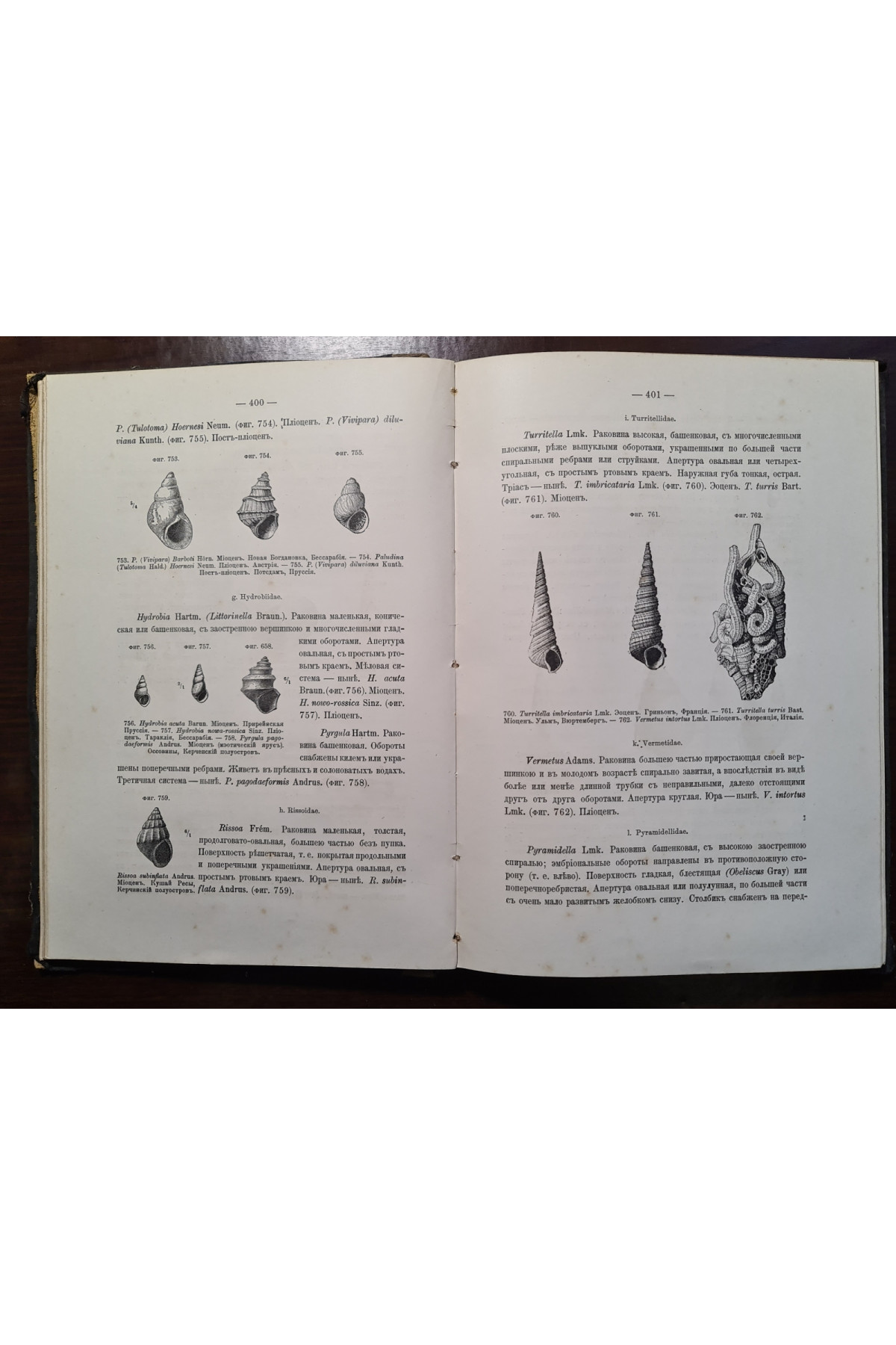 1897 р. Краткий курс палеонтологии Моллюски Лагузин