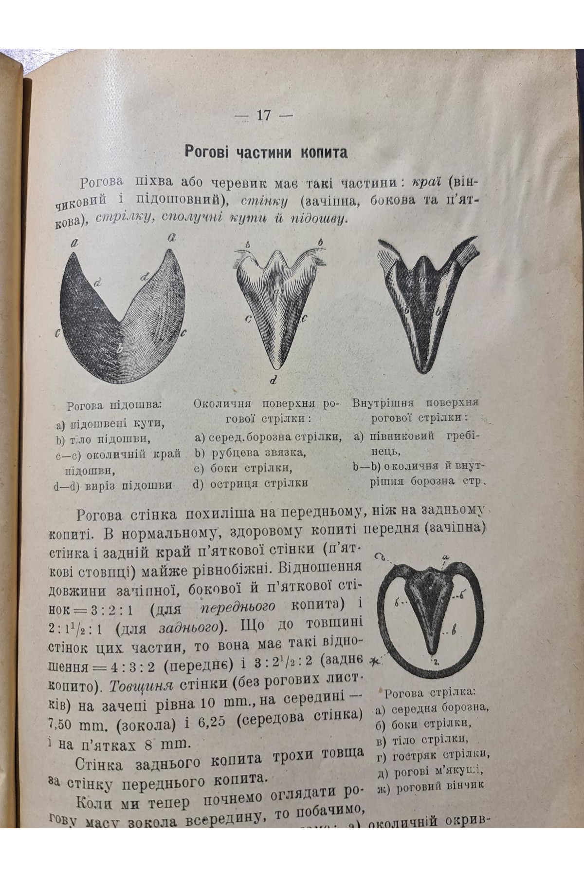 1926 р. Кування коней  