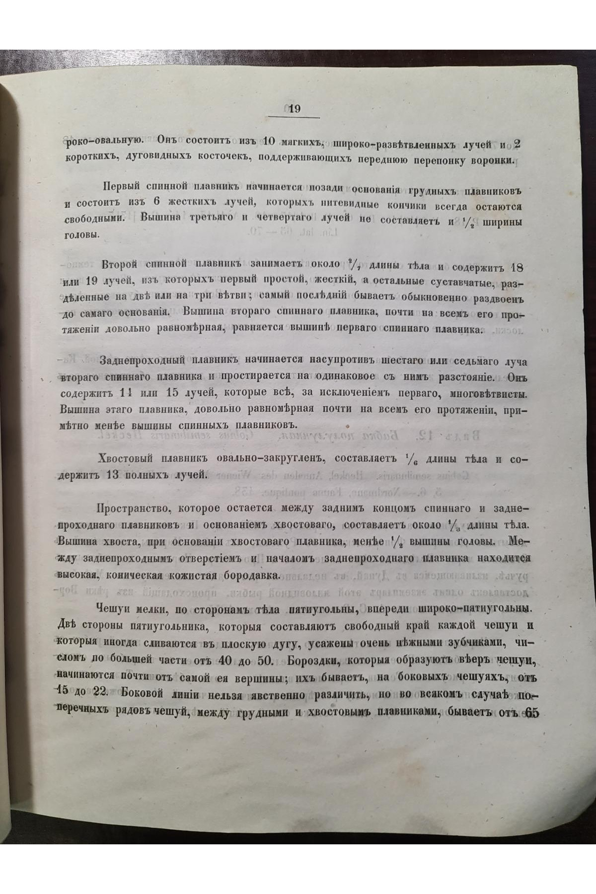 1856 г. Естественная история Губерний Киевского учебного округа Зоология  