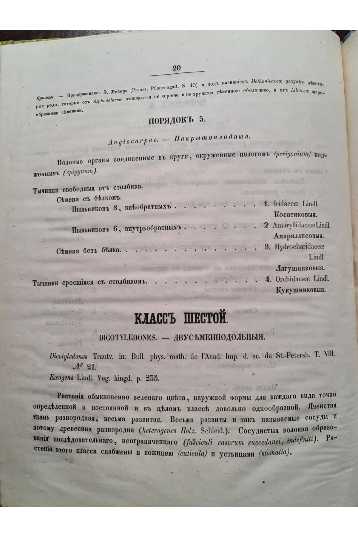 1853 р. Обозрение естественных семейств входящих в состав флоры губ. Киевского учеб. округ