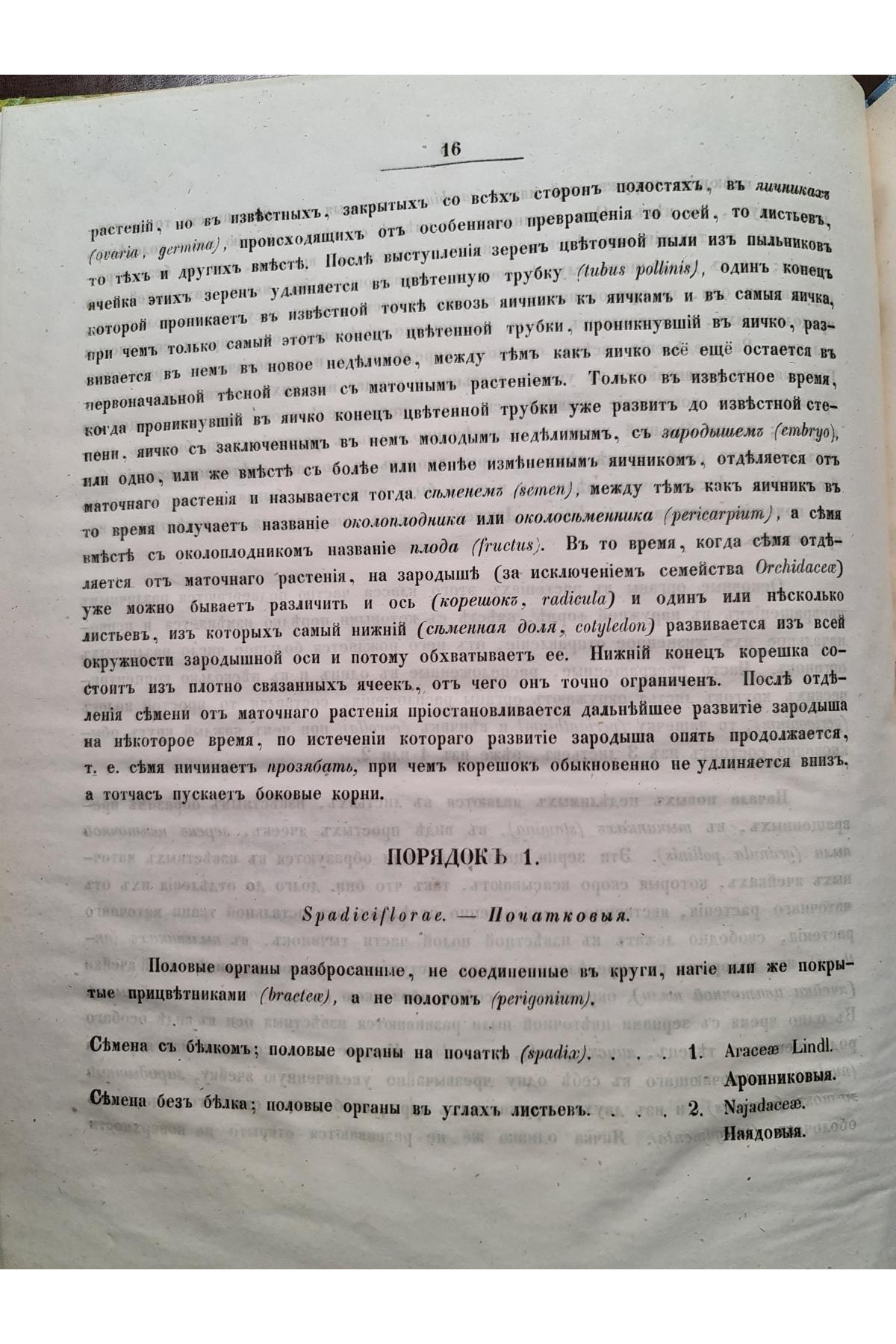 1853 р. Обозрение естественных семейств входящих в состав флоры губ. Киевского учеб. округ