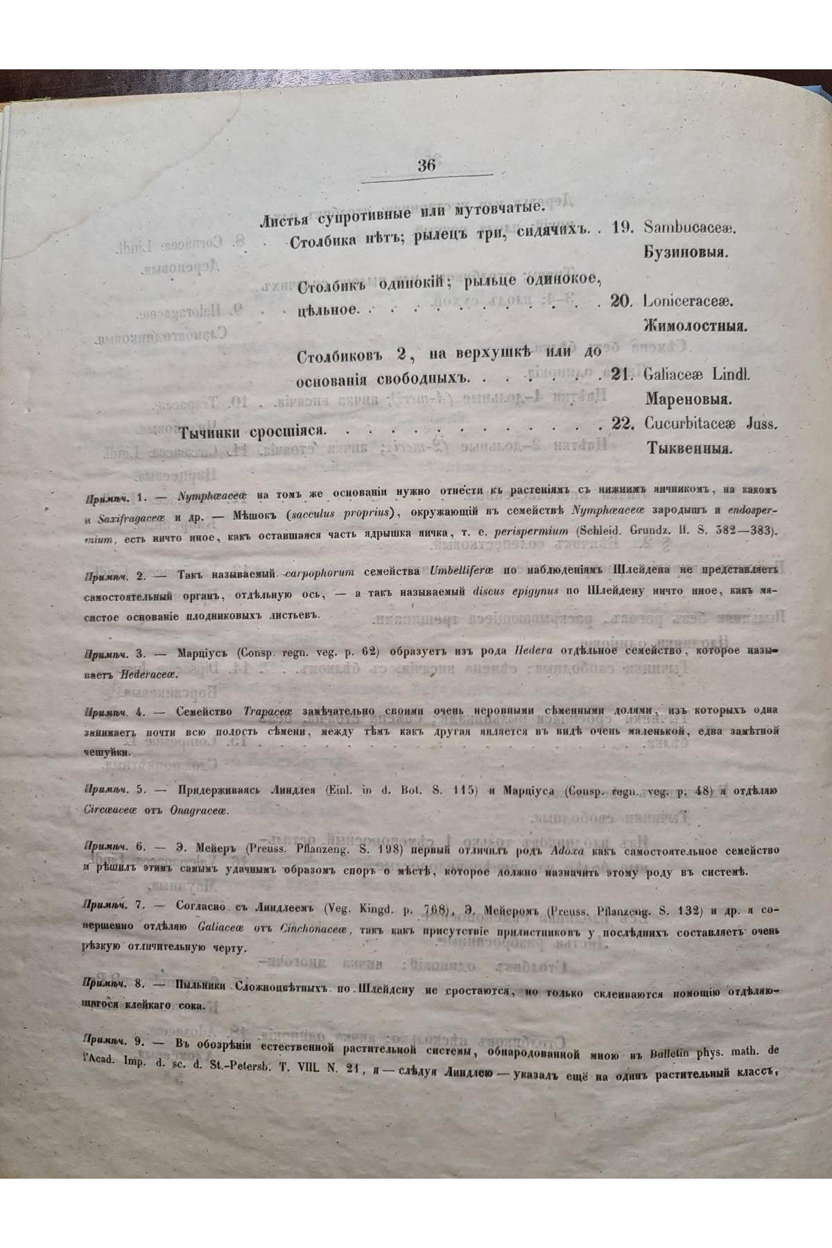 1853 р. Обозрение естественных семейств входящих в состав флоры губ. Киевского учеб. округ