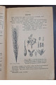 1926 р. ДВУ. Молодий хлібороб  