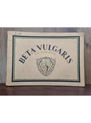 1922 р. Атлас малюнків з анатомії та біології цукрового буряка