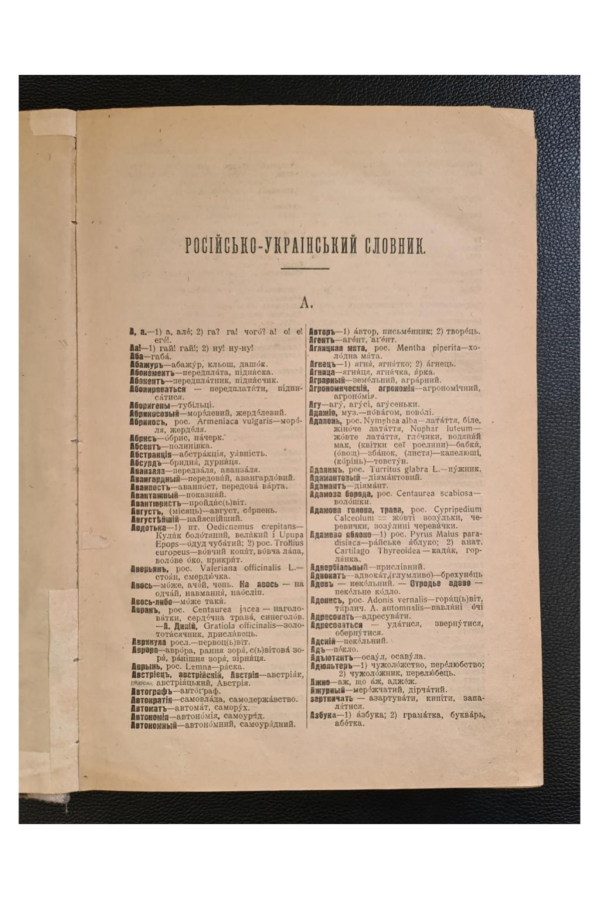 1918 р.  Російсько-український словник