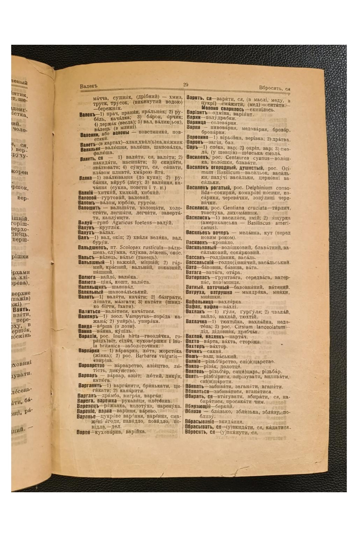 1918 р.  Російсько-український словник