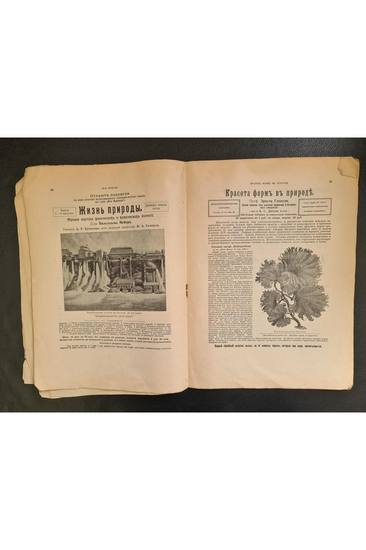 1905 г. Каталог изданий книгоиздательского товарищества "Просвещение